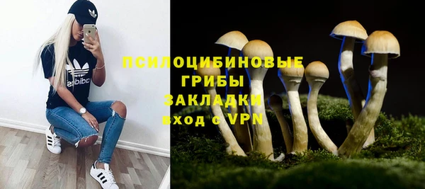 прущая мука Инта