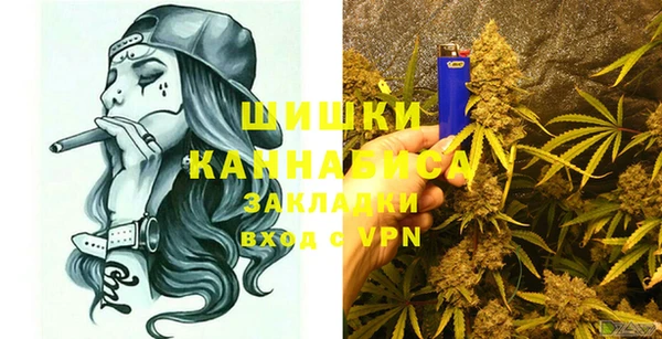 прущая мука Инта