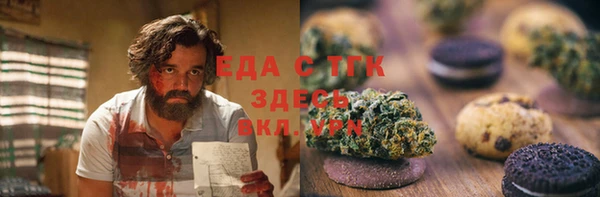 дмт Инсар