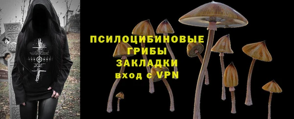 дмт Инсар