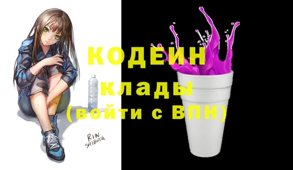 дмт Инсар