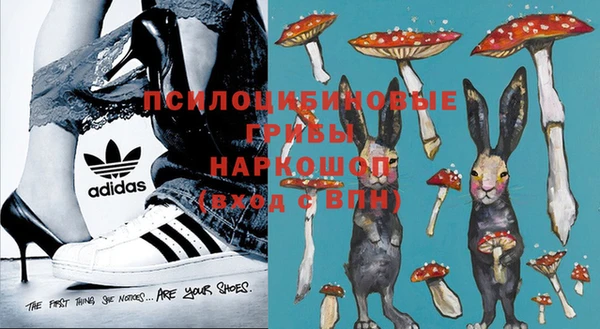 прущая мука Инта