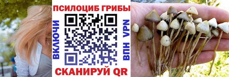Псилоцибиновые грибы GOLDEN TEACHER  Купить где  Багратионовск 
